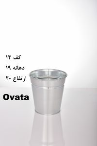 ovata