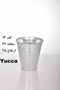 yucca