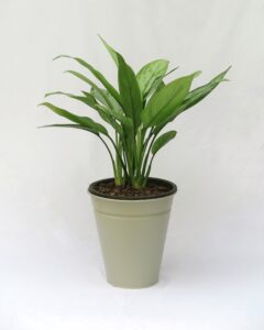 IMG 3395 01 - شرکت تجهیزات ثابت پارس