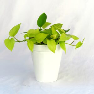 IMG 3805 01 - شرکت تجهیزات ثابت پارس