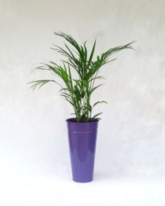 IMG 3363 01 - شرکت تجهیزات ثابت پارس