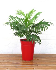 IMG 4295 01 - شرکت تجهیزات ثابت پارس